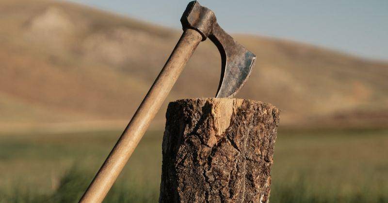 Freepik/Arthurhidden